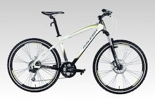 Raleigh Race