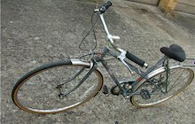 Raleigh Rhapsody
