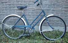 Raleigh Robin Hood