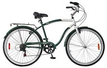 Raleigh Safari