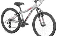Raleigh Scout XC