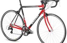 Raleigh Sport