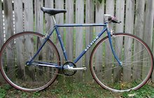 Raleigh Sportif