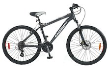 Raleigh Tarantula