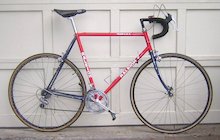Raleigh Team USA