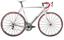 Raleigh Team