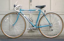 Raleigh Technium 450