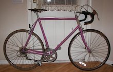 Raleigh Technium 480