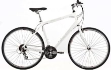 Raleigh Urban 2