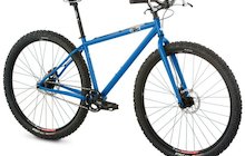Raleigh XXIX