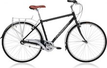 Ridgeback Avenida 3