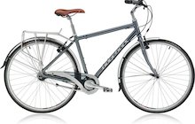 Ridgeback Avenida 7