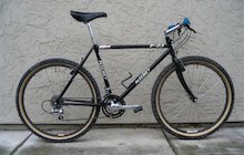 Ritchey P-23