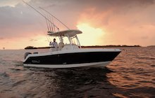 Robalo R240