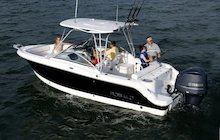 Robalo R247