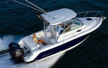 Robalo R265