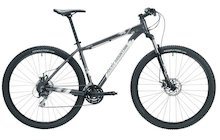 Rocky Mountain Flare 29