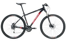 Rocky Mountain Soul 29