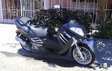 Sachs FYM 400
