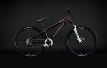 Santa Cruz Jackal