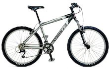 Saracen Dirttrax