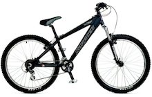 Saracen Xile