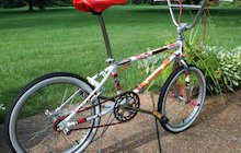 Schwinn Freeform