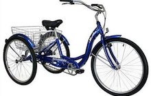 Schwinn Meridian