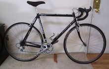 Schwinn Paramount 564