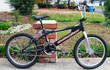 Schwinn Powermatic
