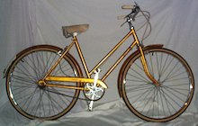 Schwinn Robin Hood