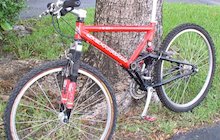 Schwinn S-20