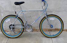 Schwinn Sidewinder