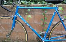 Schwinn Traveler III