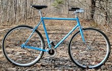 Schwinn Traveler