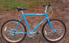 Schwinn Woodlands