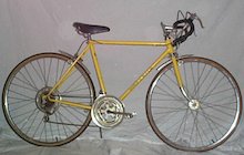 Schwinn World Traveler