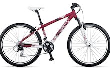 Scott Contessa 40