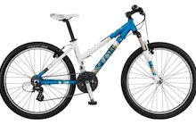 Scott Contessa 60