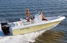 Sea Fox 197CC