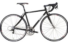 Serotta Fierte