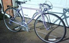 Shogun 300