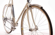 Singular Cycles Osprey