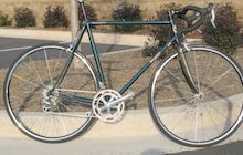 Snyder Cycles Celer Audax