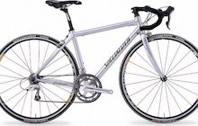 Specialized Dolce Expert