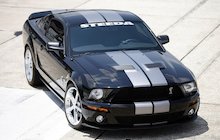 Steeda GT500