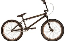 Sunday Gary Young Pro