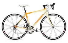 Trek 2.1 WSD