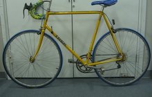 Trek 360