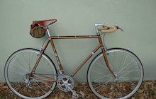 Trek 613